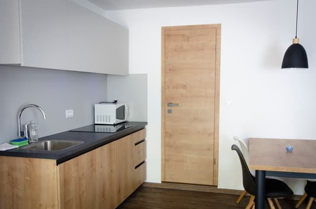 Apartma s savno 1 - Thumbnail 2