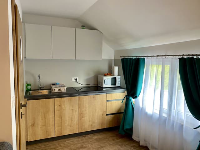 Apartma s savno 4 - Thumbnail 1